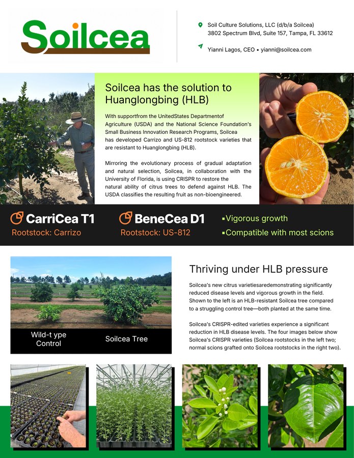 Soilcea CarriCea T1 grower flyer—cover