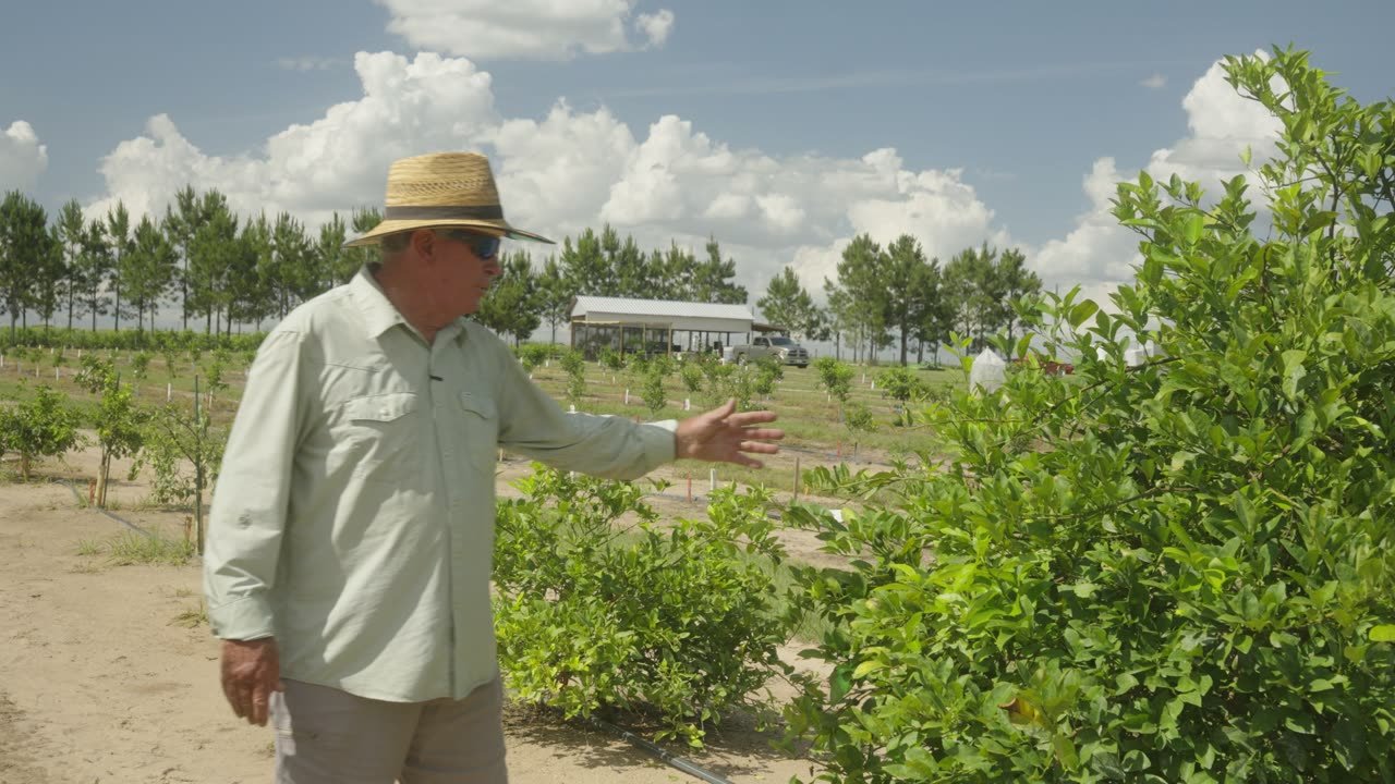 Ron talking about Soilcea.